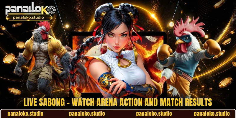 Live Sabong - Watch Arena Action And Match Results